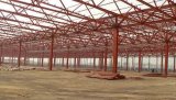 Industry Steel Structure Factory
