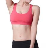 Fitness Crop Top, Sexy Lingerie Bra, Sports Wear, Running Bra