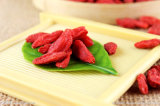 Ningxia Dried Goji Berry Supply