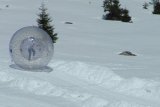 Zorb Balls for Grass Land or Snowfield (D1001B)