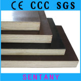 2014 Newly Design Commercial Plywood