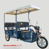 Gwgl-1 (2) Electric Tricycle