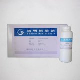 Sodium Hyaluronate Cosmetic Grade Ha Food Grade Pharma Grade Hs Code 3913900000
