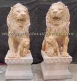 Stone Granite Marble Lion for Garden Sculpture Animal Statue (SY-D039)