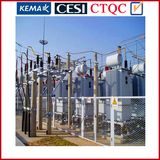 Power Transformer with Oil-Immersed Three-Phase Two-Winding Transformer