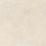 Porcelain Glazed Rustic Floor Tiles Mocha Time (FVR25160)
