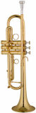 Trumpet (EVA-582)