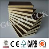 Low Price 12mm Imprinted Brown Film Faced Poplar Plywood