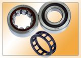 Cylindrical Roller Bearing (NJ305ECP)