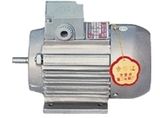 Motor (YU Series)