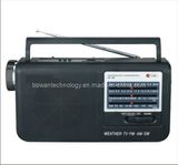 FM/TV/AM/SW1-2 5 Band Radio MP3 Player Torch BW-F36UL