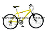 Yellow Mountain Bicycle for Hot Sale MTB-037
