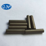 Rare Earth Permanent Neodymium Cylinder Magnet (NdFeB)