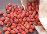 100% Chinses Pure Natural Raw Peanut