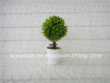 Artificial Plastic Potted Flower (XD14-61)