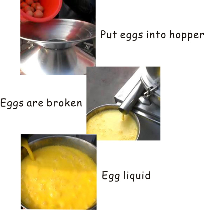 Automatic Egg Breaker Separator Machine